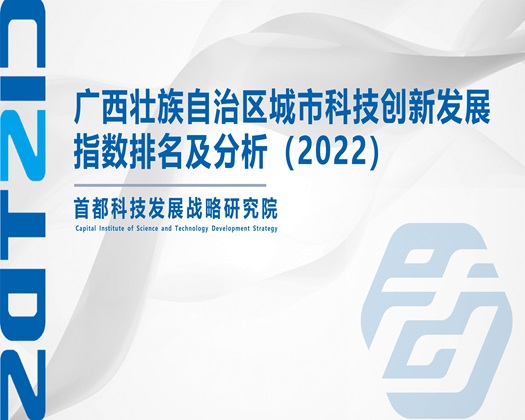 美国大美大骚逼【成果发布】广西壮族自治区城市科技创新发展指数排名及分析（2022）